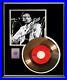 Bob-Dylan-Gold-Record-Lay-Lady-Lay-45-RPM-Non-Riaa-Award-Rare-01-vq