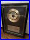 Cher-Take-Me-Home-Non-Riaa-In-House-Gold-Record-Award-Casablanca-Records-01-jyu