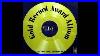 Crown-Records-Gold-Record-Award-Vol-1-B5-He-S-Got-The-Whole-World-In-His-Hands-Laurie-London-Hit-01-gozv