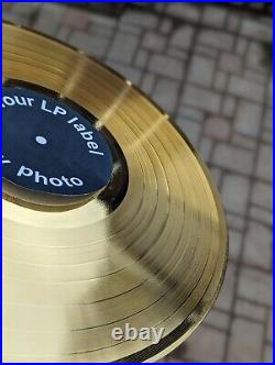 DRAKE Scorpion 24k Gold Record 12 LP Display Oak Framed Award Album MTV