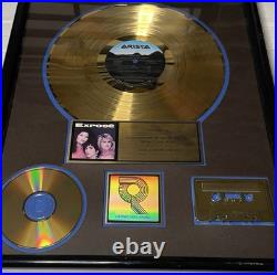 EXPOSE Rock Band RIAA Certified Gold Record Award CD Album Cassette 80s Vintage