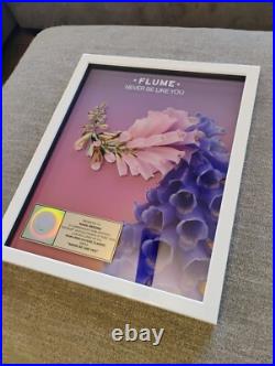 Flume Never Be Like You RIAA Album Award Platinum 1 Mi Gold Music Record Rare Flume Never Be Like You RIAA Album Award Platinum 1 Mi Gold Music Record Rare