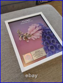 Flume Never Be Like You RIAA Album Award Platinum 1 Mi Gold Music Record Rare Flume Never Be Like You RIAA Album Award Platinum 1 Mi Gold Music Record Rare