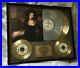 Karyn-White-1988-Self-Titled-Gold-Platinum-Record-Award-Riaa-Rare-01-bcka