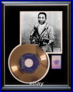 Muddy Waters Tiger In You Tank 45 RPM Gold Record Rare Non Riaa Award
