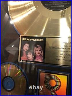 RARE EXPOSE RIAA Gold Record Album Award Framed Arista Records