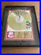 RIAA-Gold-Record-Award-Meat-Puppets-Too-High-To-Die-Presented-To-KZRR-17x21-01-la