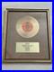 Rare-Vintage-DONNA-FARGO-Funn-Face-Framed-Gold-Record-Award-Non-RIAA-01-gp