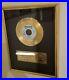 Shannon-RIAA-Gold-Award-Plaque-Latin-Freestyle-Dance-01-nqwa