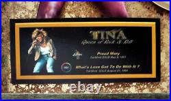 TINA TURNER Double Gold Award (Proud Mary & What's Love Got To Do With It)