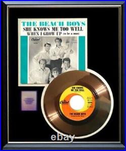 The Beach Boys She Knows Me Too Well 45 RPM Gold Record Non Riaa Award Rare