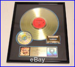 Toad the Wet Sprocket Fear RIAA Gold Record Award Authentic