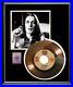 Todd-Rundgren-Hello-It-s-Me-45-RPM-Gold-Record-Rare-Non-Riaa-Award-01-izvv