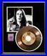 Todd-Rundgren-Hello-It-s-Me-45-RPM-Gold-Record-Rare-Non-Riaa-Award-01-pyfm